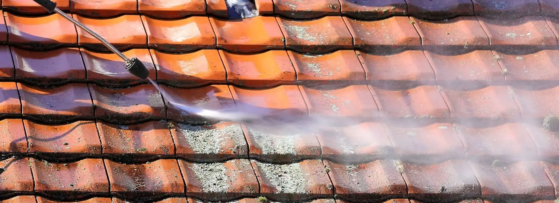 Traitement anti-mousse toiture Trevillach